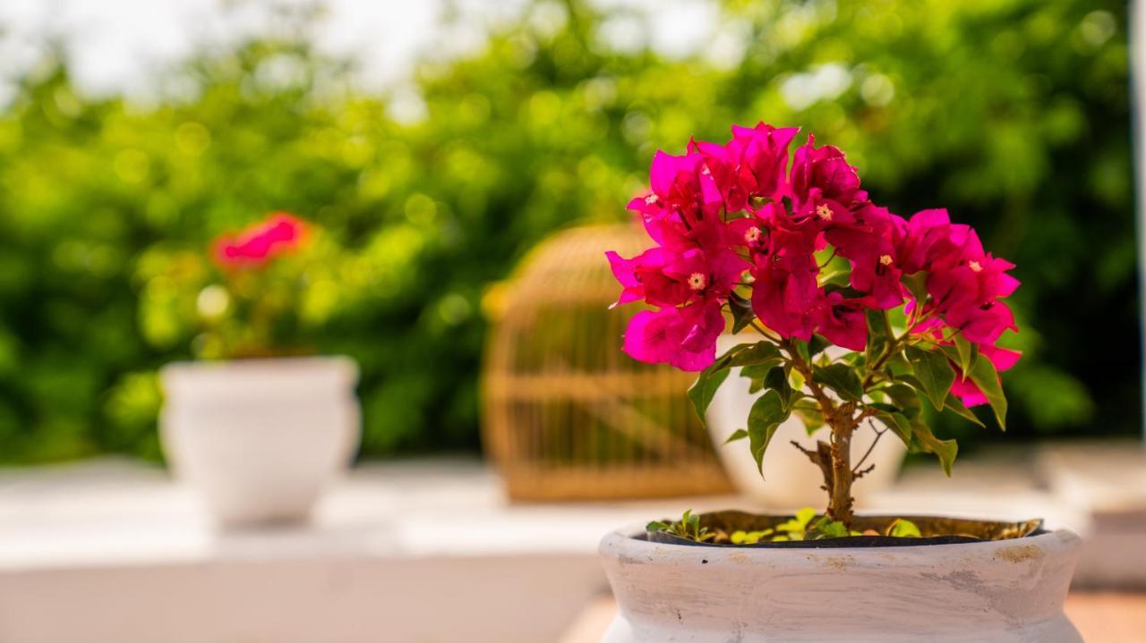 Club Beyy Resort Hotel Ізмір Екстер'єр фото
